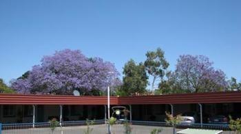 Border Motel 3*